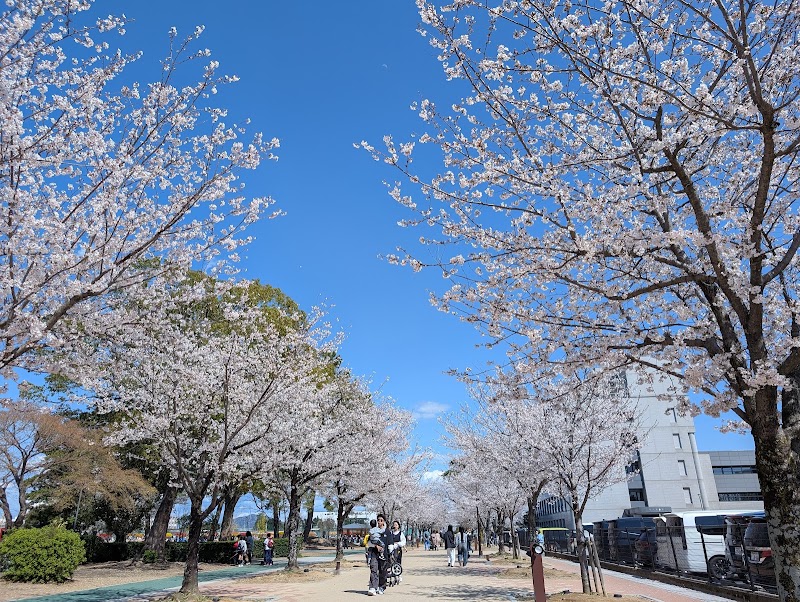 豊川公園の写真