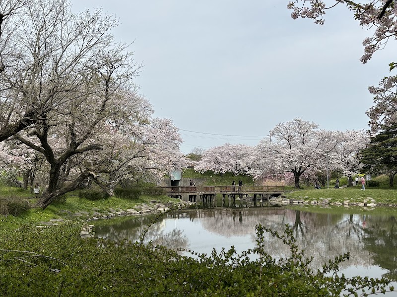 柳川瀬公園の写真