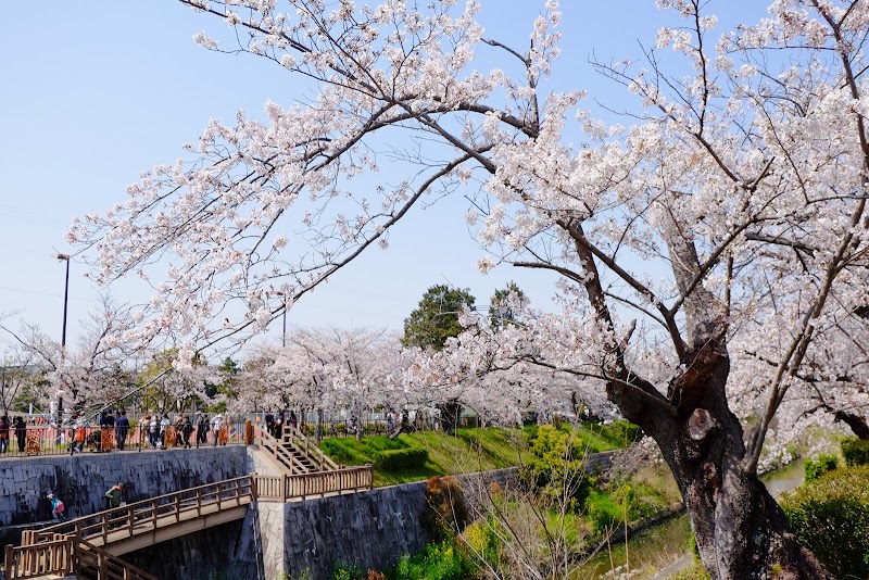弥富公園の写真